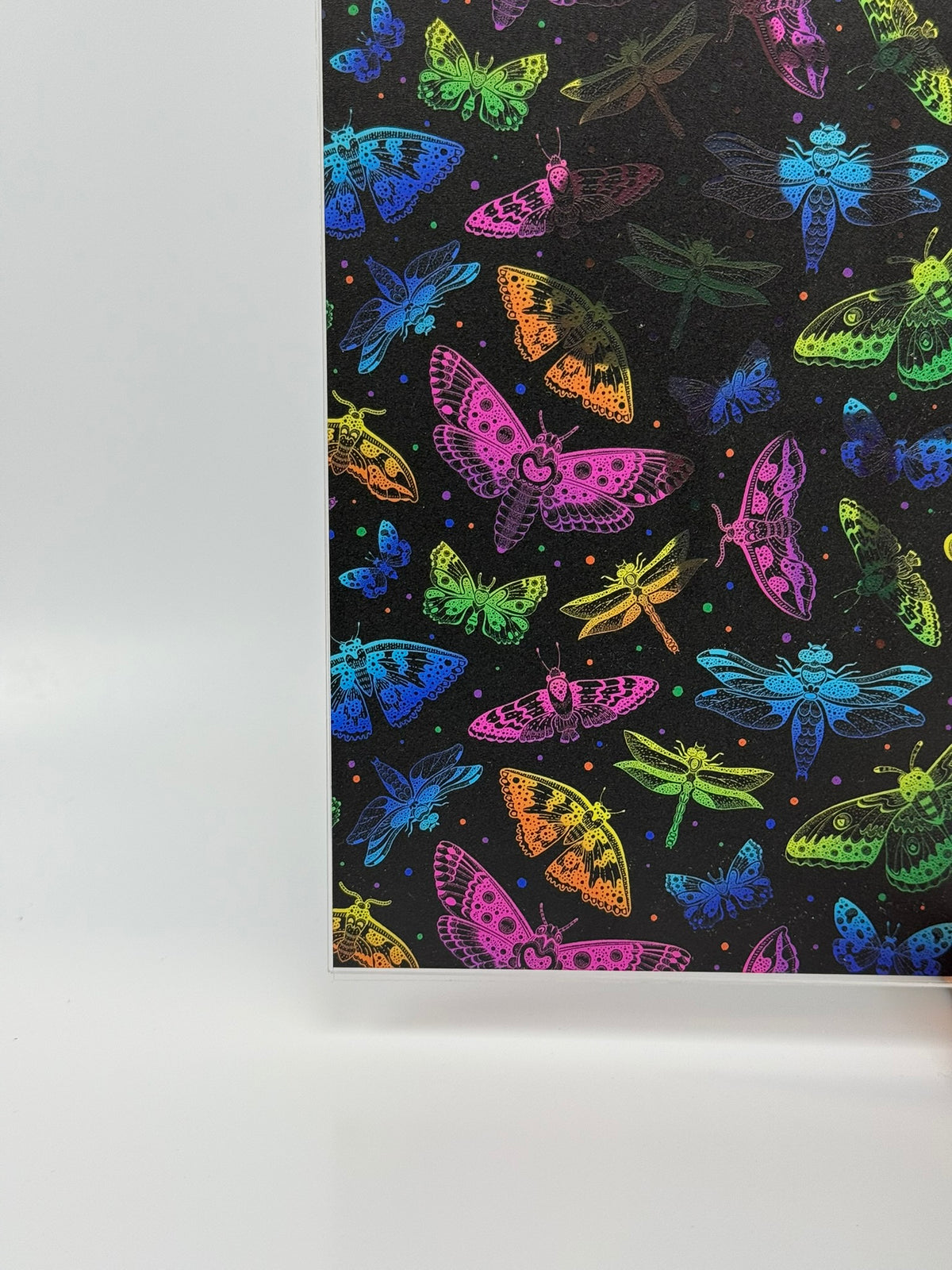 PatternPly® Transparent Neon Butterflies sheet showing the pattern