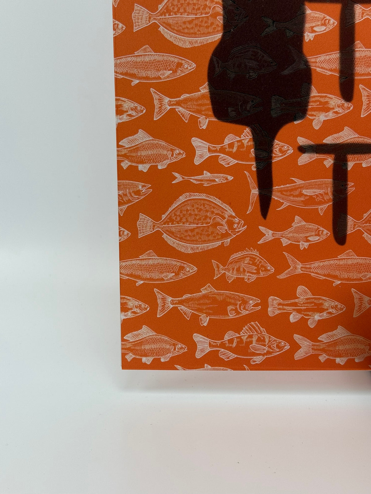 PatternPly® Transparent Freshwater Catch on ORANGE sheet showing the pattern
