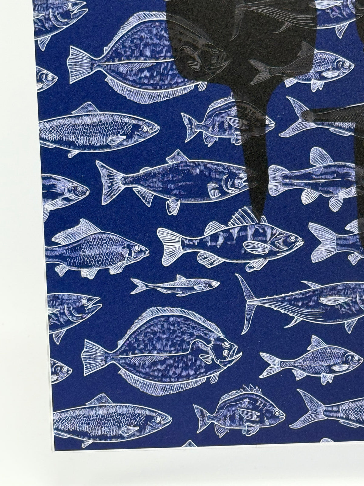 PatternPly® Transparent Freshwater Catch on BLUE sheet showing the pattern