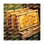 PatternPly® Transparent Insect Series Volume 2 Honeybees 13 art scene artwork