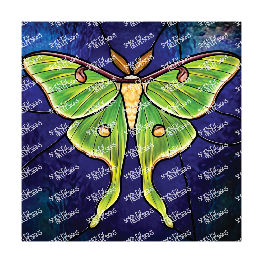 PatternPly® Transparent Insect Series Volume 3 Butterfly 23 art scene artwork