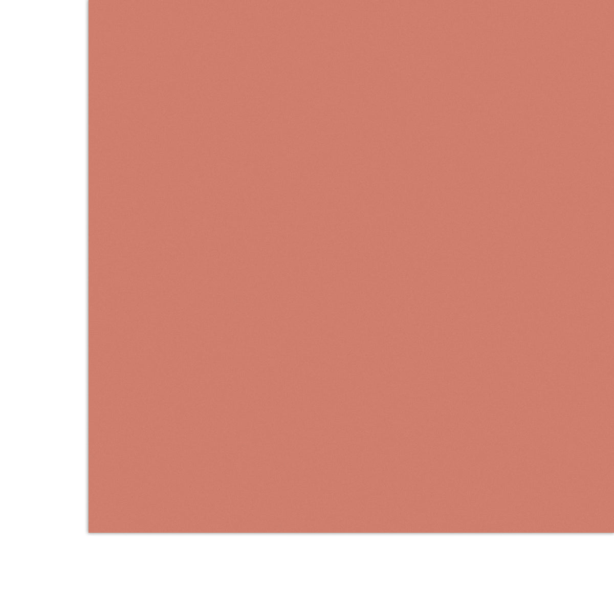 1/8" Sunset Poppy Coral - Matte / Gloss acrylic sheet