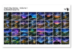 PatternPly® Transparent Night Skies Volume 1 Summer Nights Sampler: sampler sheet of small art scene designs