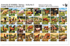 PatternPly® Full Coverage Animals and Wildlife Volume 3 Farm Animals Sampler product photo 3