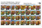 PatternPly® Full Coverage Animal Series Volume 1 Highland Cows Sampler product photo 3
