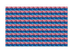 PatternPly® Full Coverage Painted Flag product photo 2
