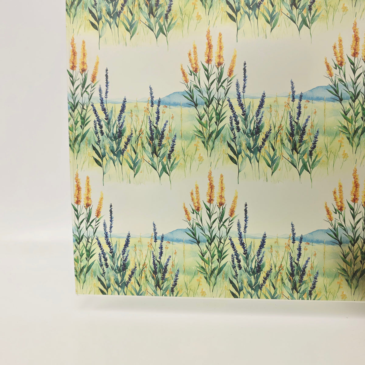 PatternPly® Transparent Prairie Grasses product photo 3