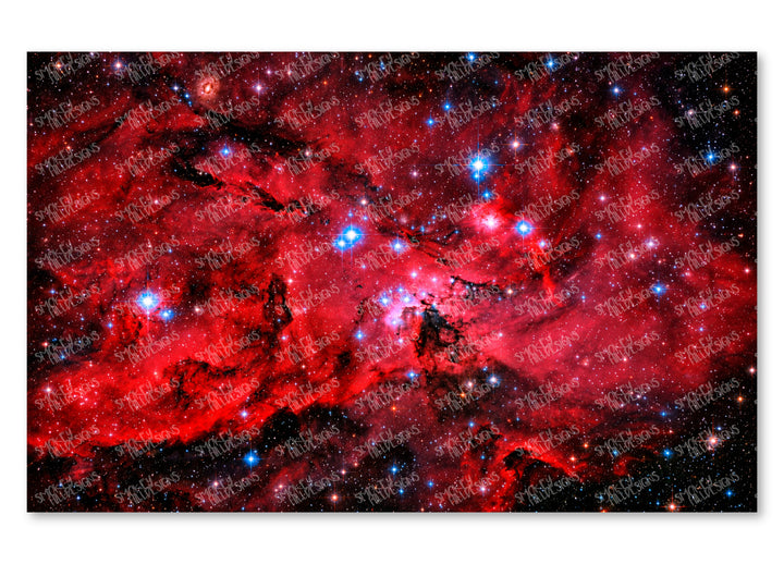 PatternPly® Full Coverage Scarlet Nova