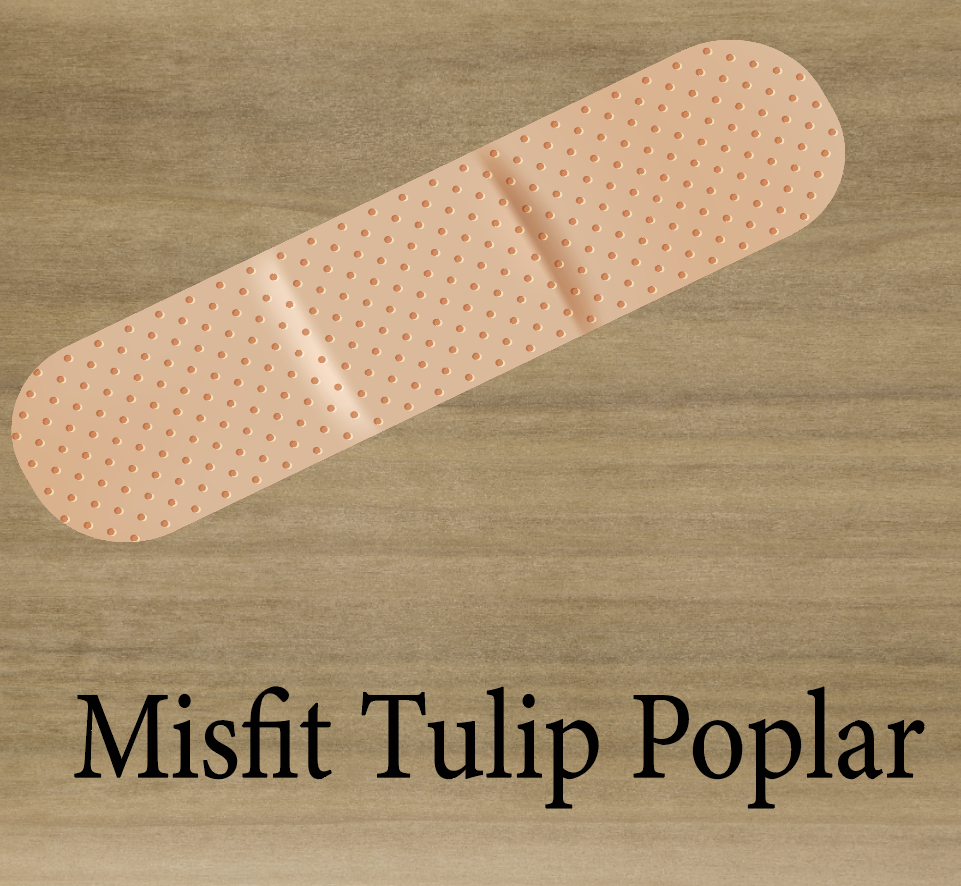 Misfit 1/16” Tulip Poplar Plywood
