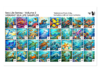 PatternPly® Full Coverage Sea Life Volume 2 Vibrant Sea Life Sampler product photo 3