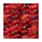 PatternPly® Transparent Snowy Poinsettias sheet showing the pattern