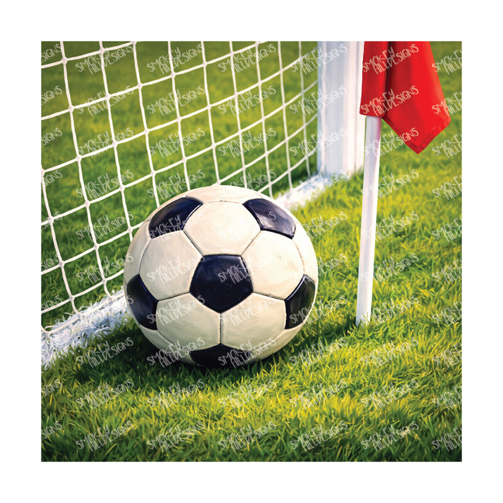 PatternPly® Transparent Sports Series Volume 1 Whats Your Game 16 art scene artwork