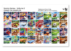 PatternPly® Transparent Sports Volume 2 Game On Sampler product photo 3