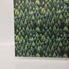 PatternPly® Transparent Dense Forest product photo 3