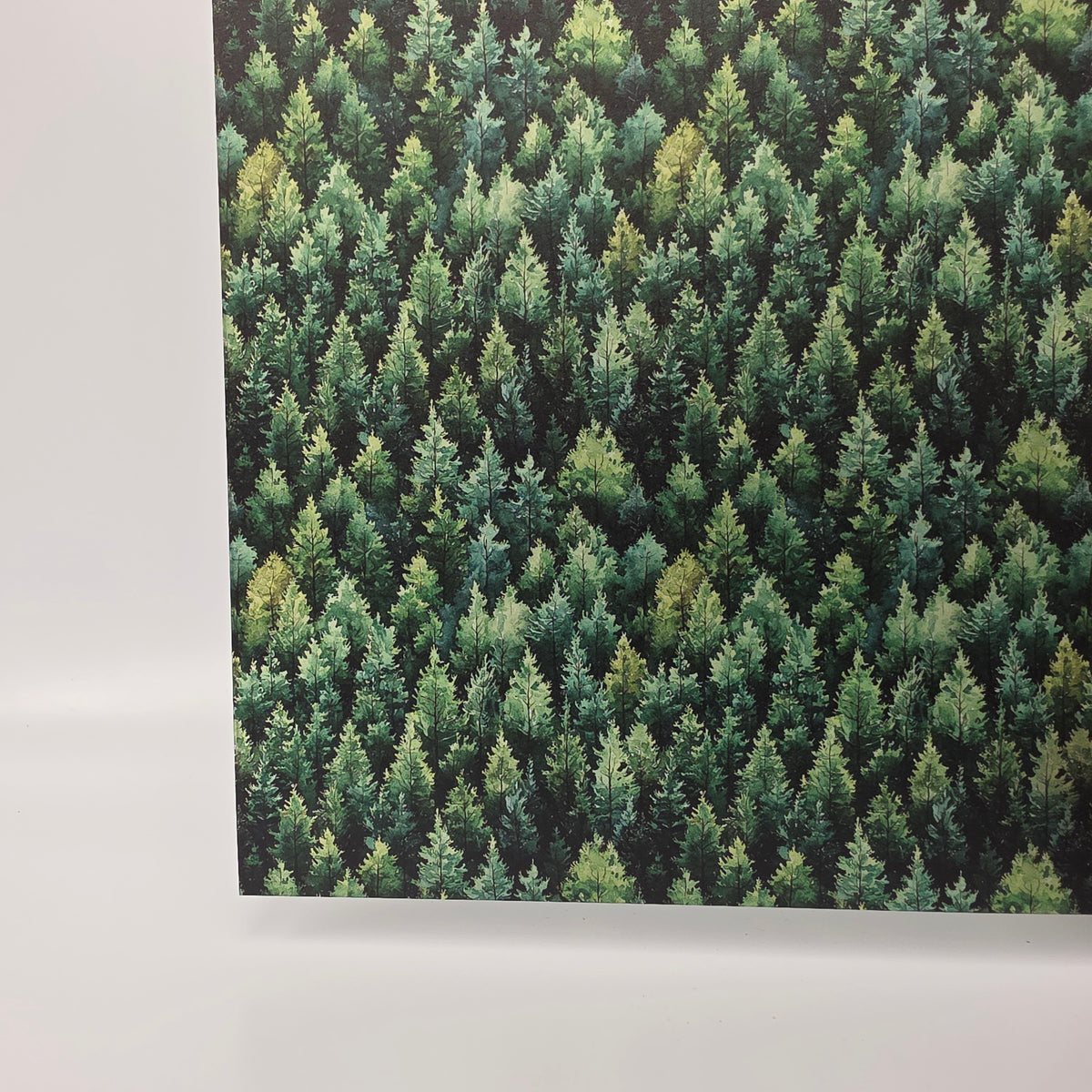 PatternPly® Transparent Dense Forest product photo 3