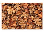 PatternPly® Transparent Brown Leaves and Acorns product photo 2