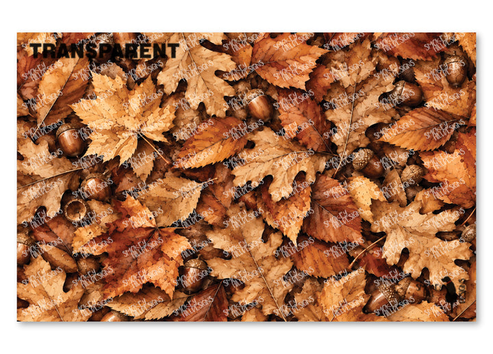 PatternPly® Transparent Brown Leaves and Acorns