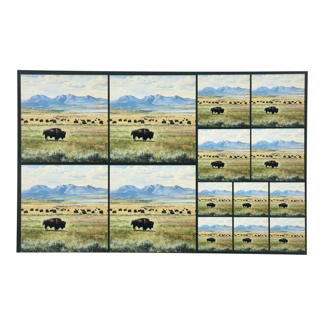 PatternPly® Transparent Bison Mountains Three Sizes