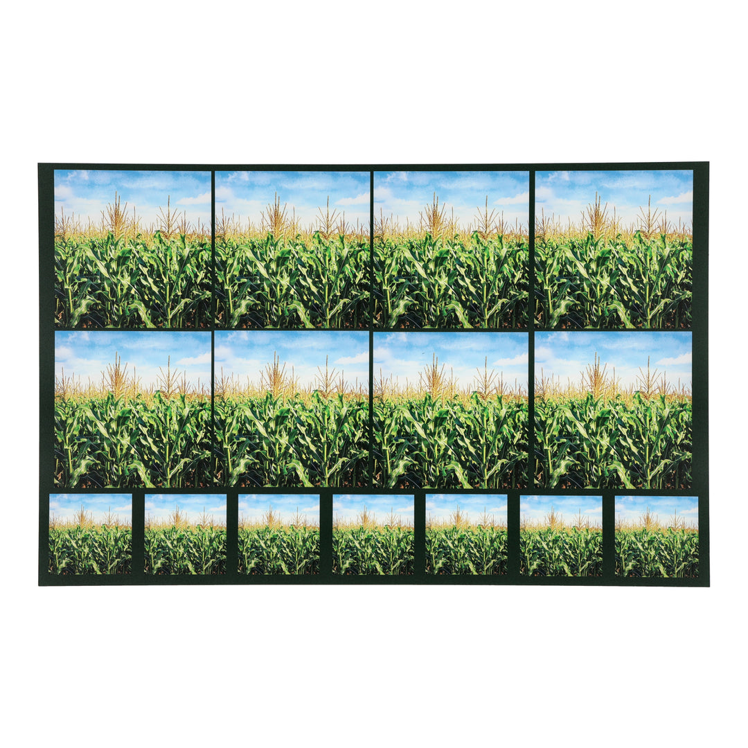 PatternPly® Transparent Cornfield Two Sizes