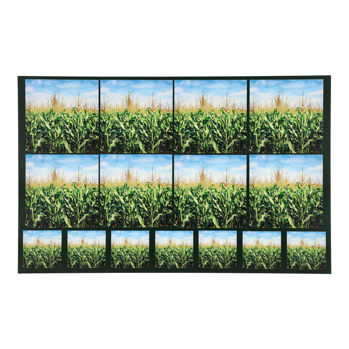 PatternPly® Transparent Cornfield Two Sizes