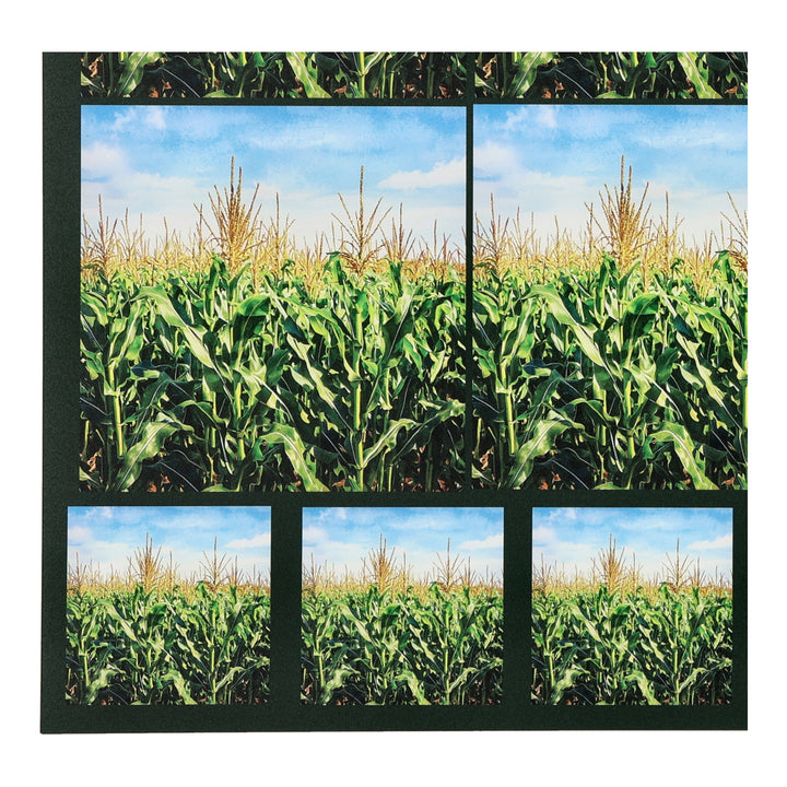 PatternPly® Transparent Cornfield Two Sizes