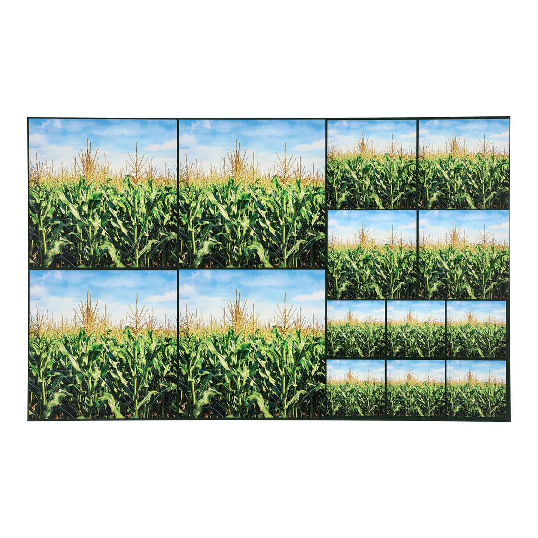 PatternPly® Transparent Cornfield Three Sizes