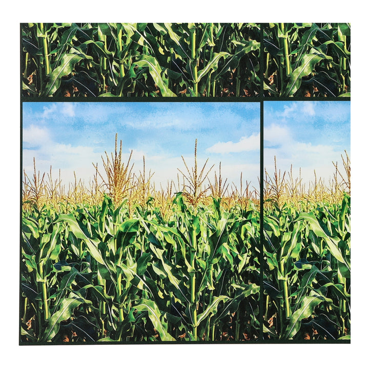 PatternPly® Transparent Cornfield Three Sizes