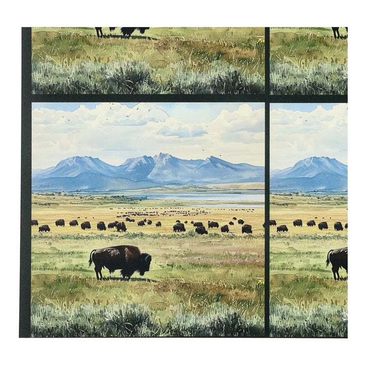 PatternPly® Transparent Bison Mountains Three Sizes