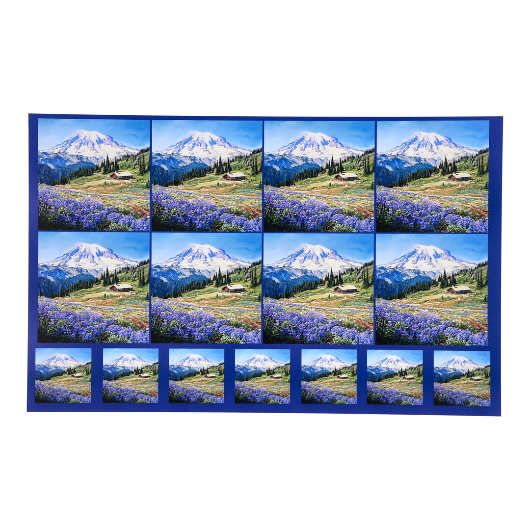 PatternPly® Transparent Mount Rainier Two Sizes