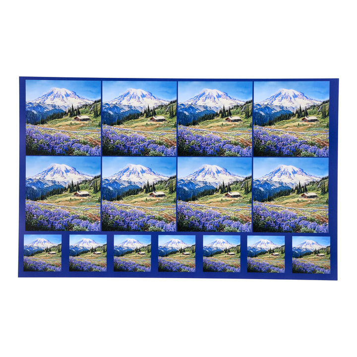 PatternPly® Transparent Mount Rainier Two Sizes