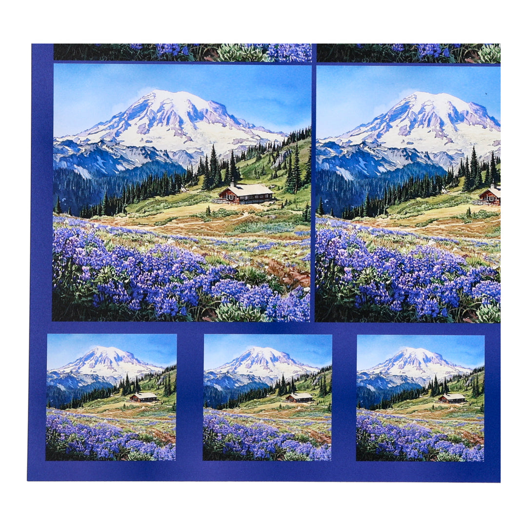 PatternPly® Transparent Mount Rainier Two Sizes