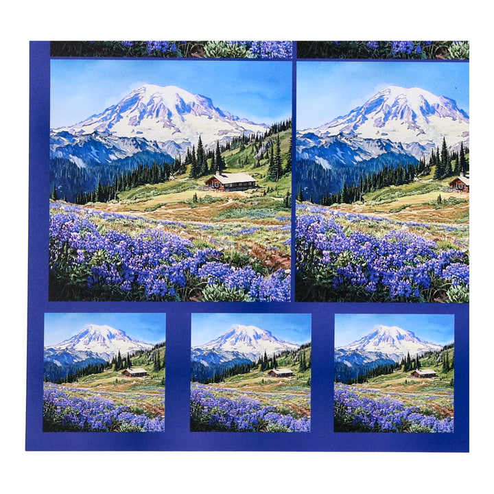 PatternPly® Transparent Mount Rainier Two Sizes