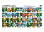 PatternPly® Full Coverage Tropical Series Volume 1 Island Escape Sampler product photo 3