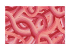 PatternPly® Full Coverage Winding Pink and Red Maze product photo 2