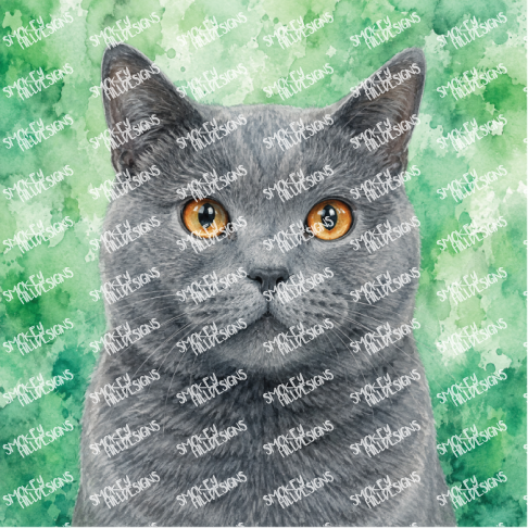 PatternPly® Transparent Cat Breed Series Volume 1 Cat Portraits in Watercolor 14