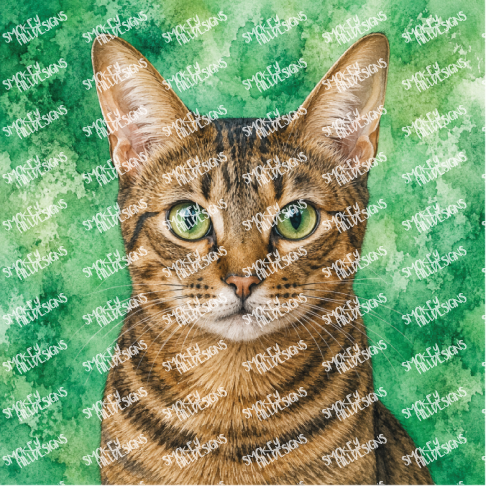 PatternPly® Transparent Cat Breed Series Volume 1 Cat Portraits in Watercolor 21