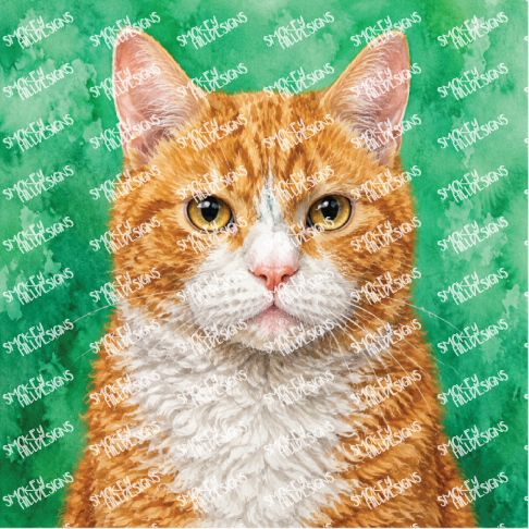 PatternPly® Transparent Cat Breed Series Volume 1 Cat Portraits in Watercolor 28