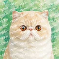 PatternPly® Transparent Cat Breed Series Volume 1 Cat Portraits in Watercolor 3