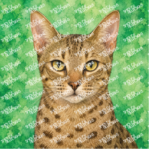 PatternPly® Full Coverage Cat Breed Series Volume 2 Cat Portraits in Watercolor 18