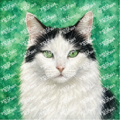 PatternPly® Transparent Cat Breed Series Volume 2 Cat Portraits in Watercolor 1