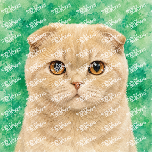PatternPly® Transparent Cat Breed Series Volume 2 Cat Portraits in Watercolor 28