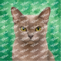 PatternPly® Transparent Cat Breed Series Volume 2 Cat Portraits in Watercolor 4