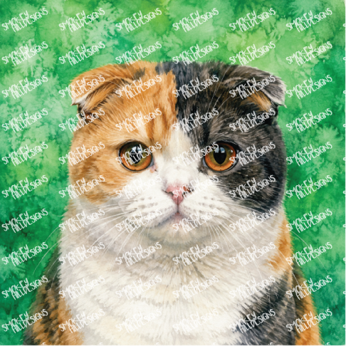 PatternPly® Transparent Cat Breed Series Volume 2 Cat Portraits in Watercolor 5