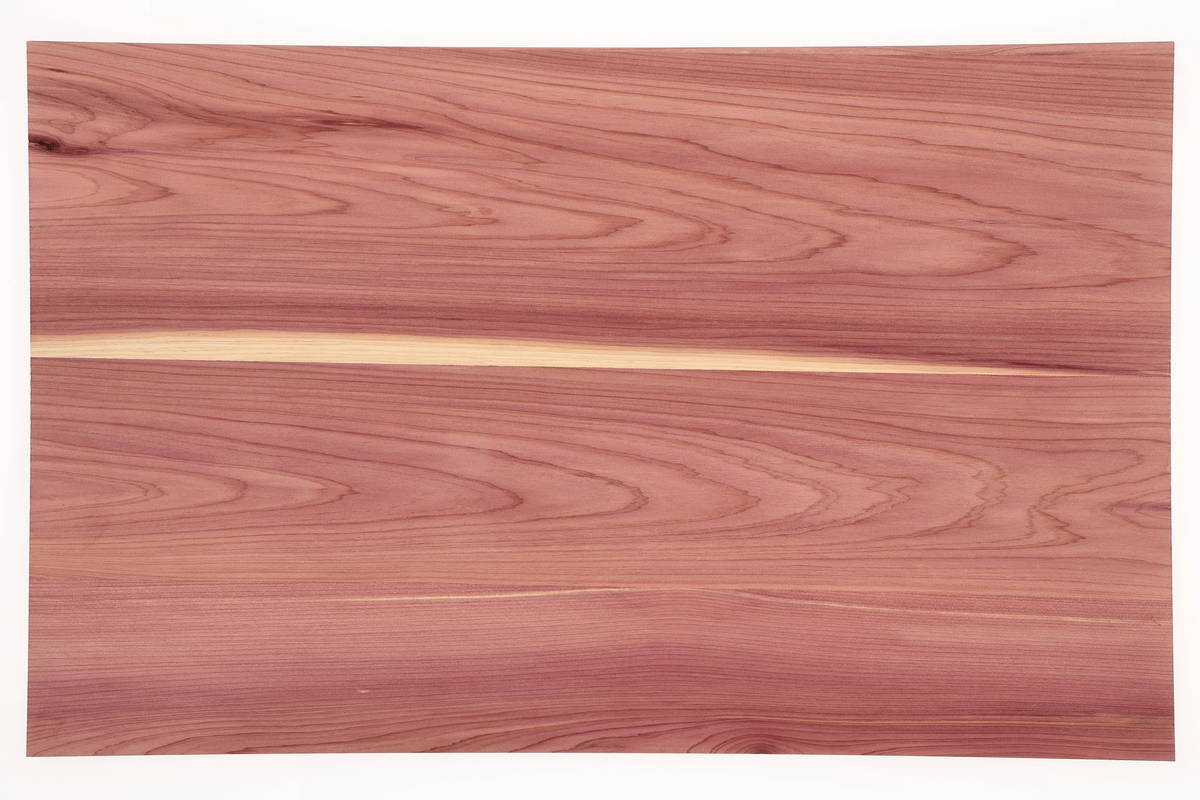 1/8" Aromatic Cedar product photo 3