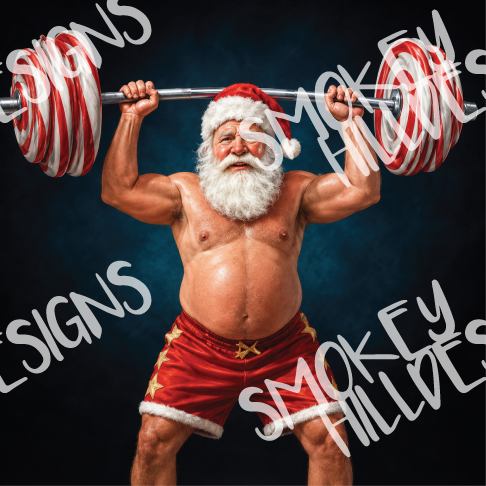PatternPly® Full Coverage Christmas Series Volume 3 Angelas Snarky Santas 13