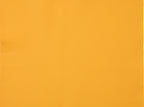 Golden Yellow Leather
