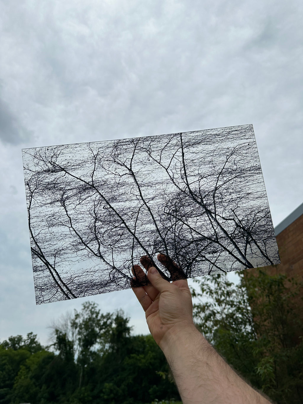 PatternPly® Transparent Spooky Trees sheet showing the pattern