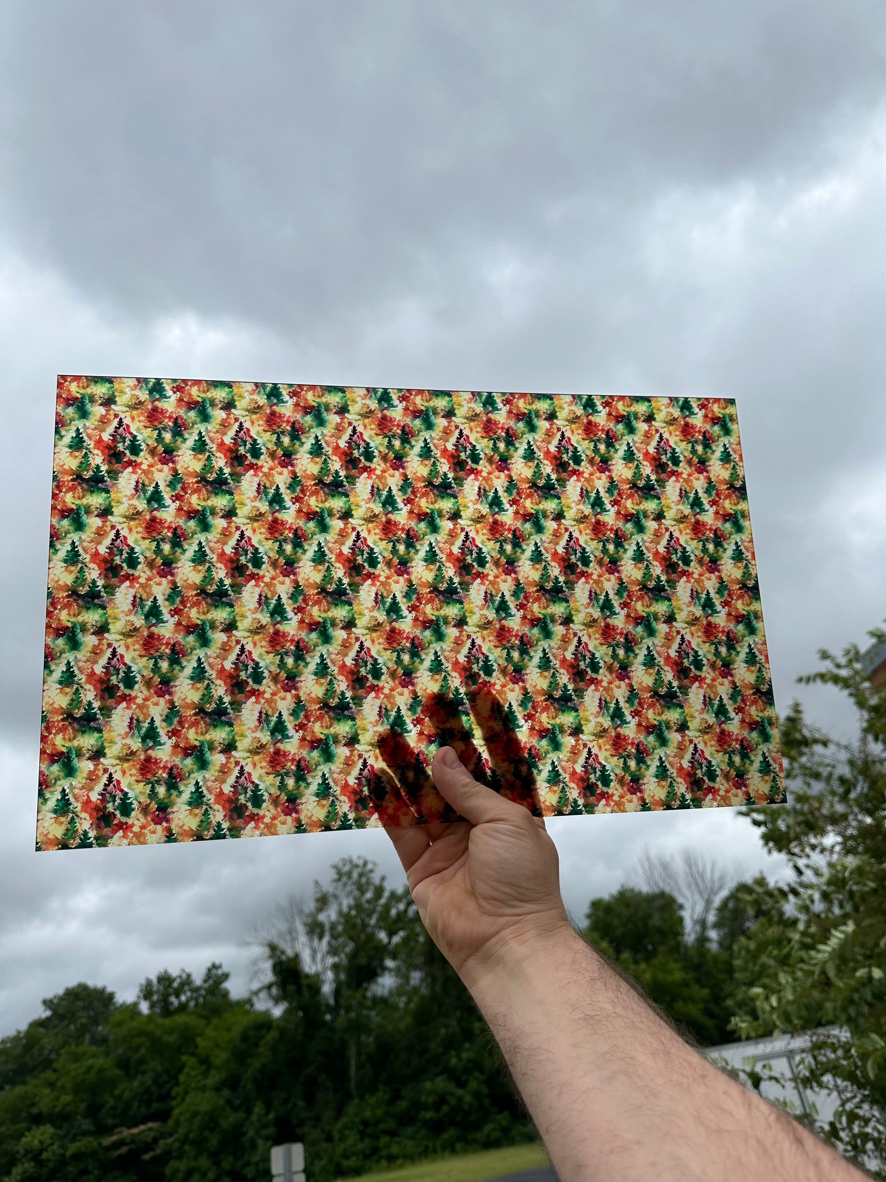 PatternPly® Transparent Fall Watercolor Christmas Trees Large sheet showing the pattern