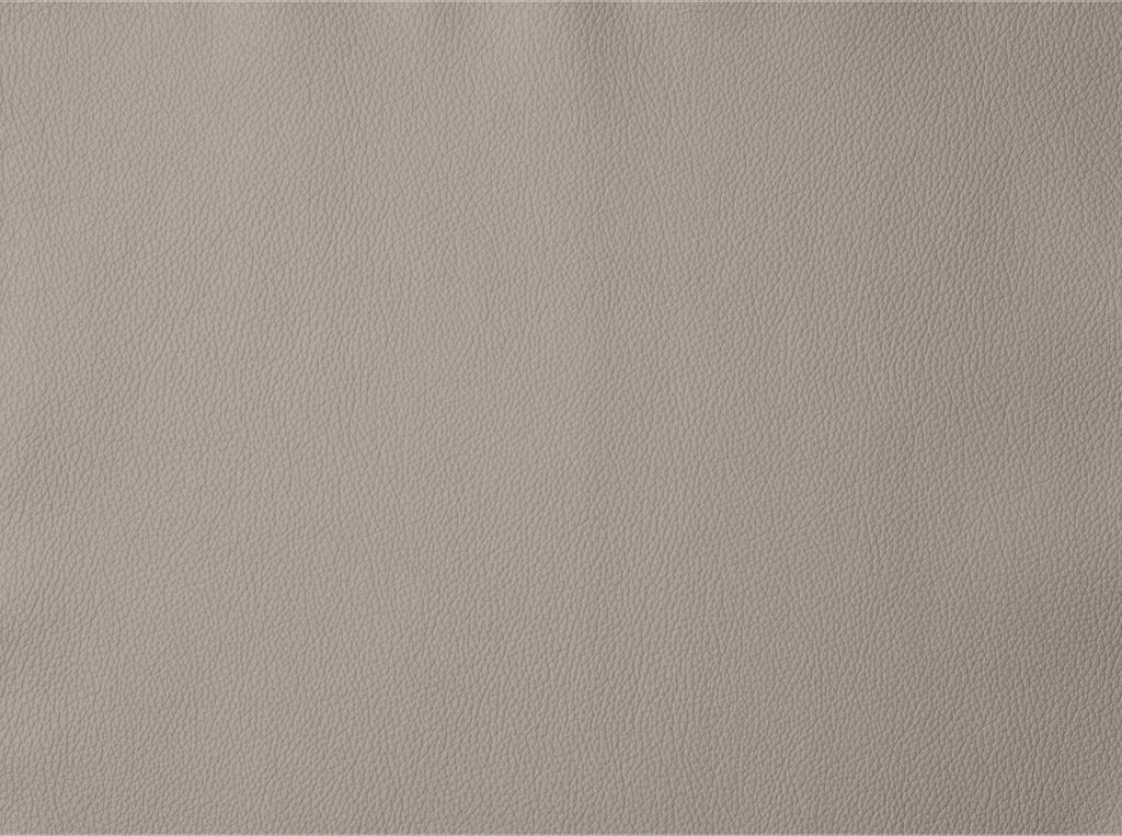 Light Gray Leather