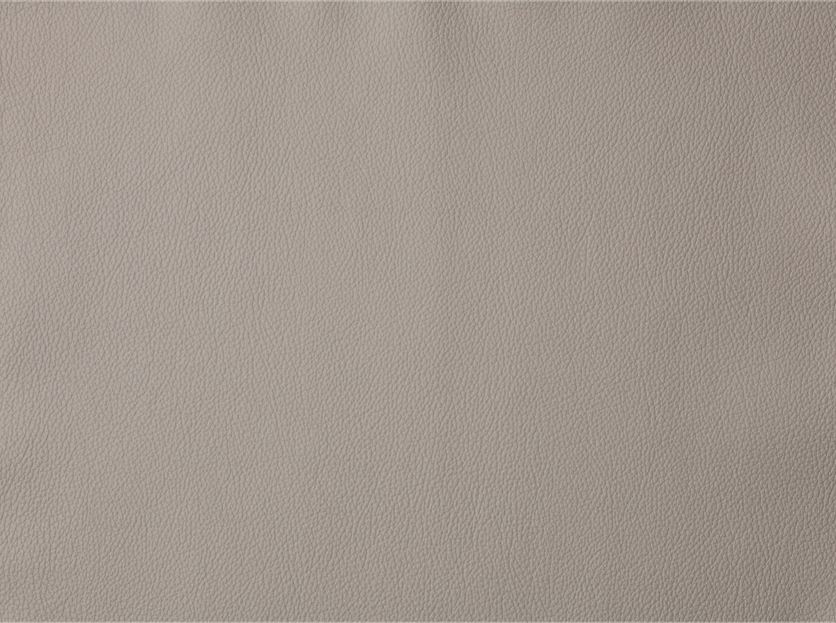 Light Gray Leather